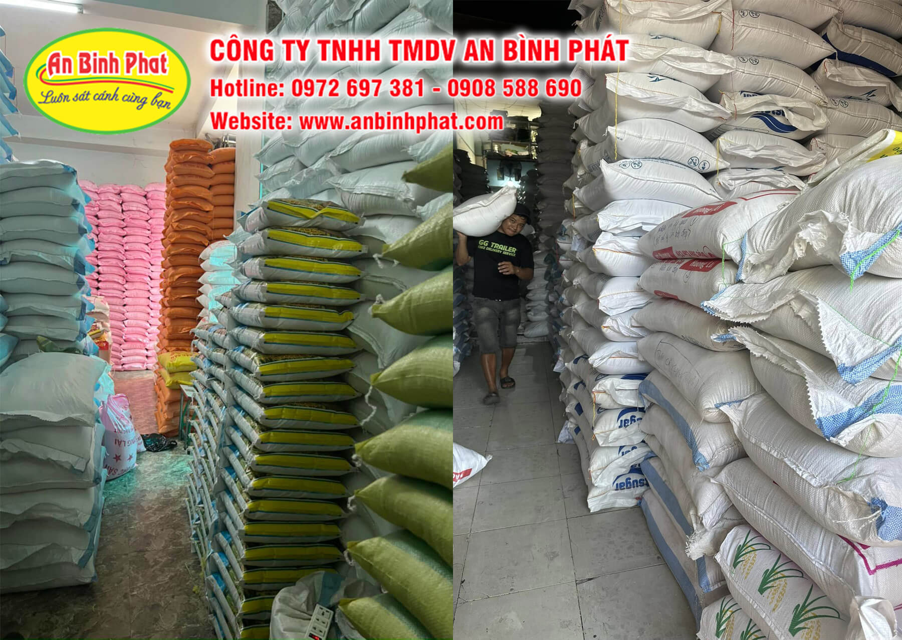 Kho gạo Miền Nam - An Bình Phát