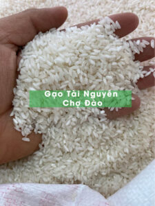 Gạo Tài Nguyên Chợ Đào